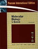 Molecular Biology of the Gene Sixth Edition (International Edition)