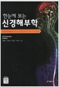한눈에 보는 신경해부학